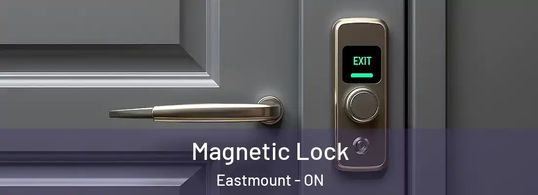  Magnetic Lock Eastmount - ON