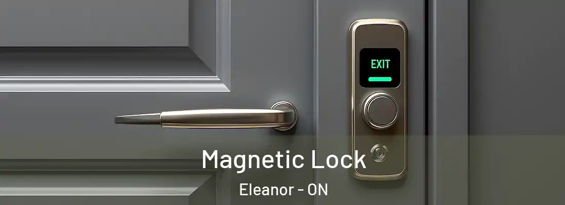  Magnetic Lock Eleanor - ON