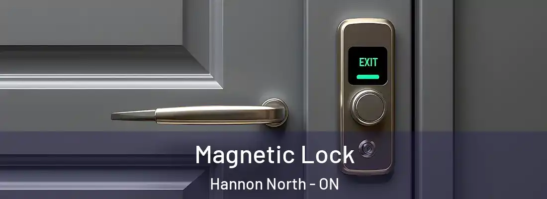  Magnetic Lock Hannon North - ON