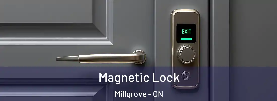  Magnetic Lock Millgrove - ON
