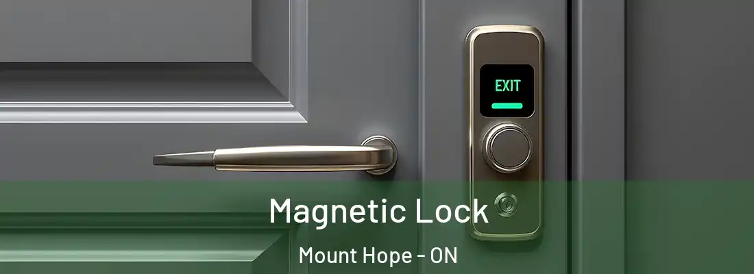  Magnetic Lock Mount Hope - ON