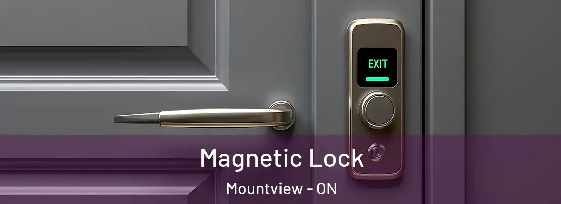  Magnetic Lock Mountview - ON