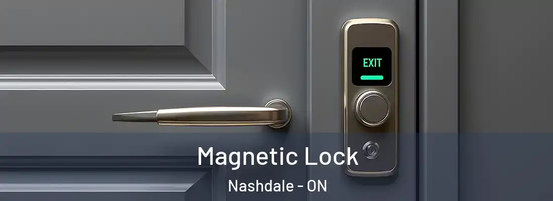  Magnetic Lock Nashdale - ON