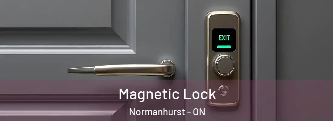  Magnetic Lock Normanhurst - ON