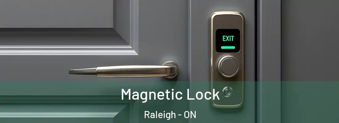  Magnetic Lock Raleigh - ON