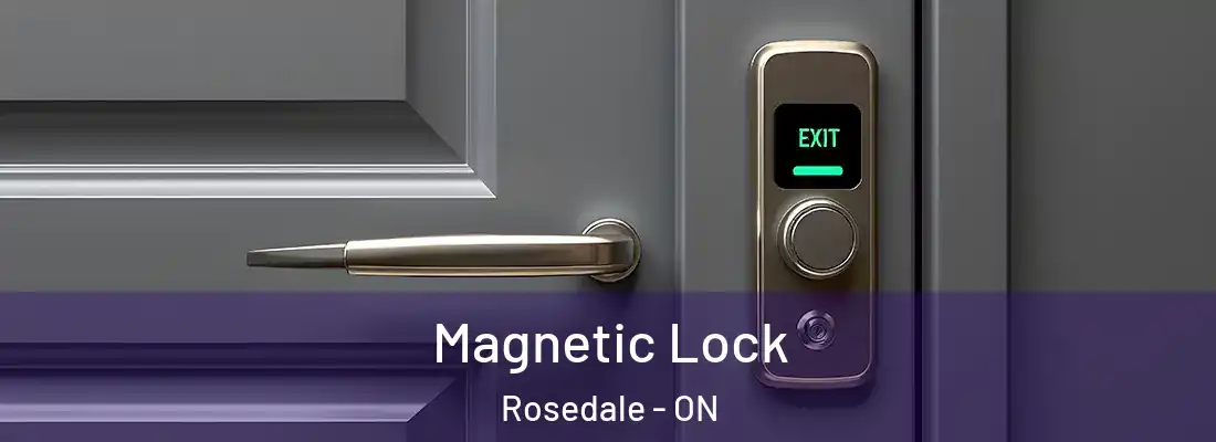  Magnetic Lock Rosedale - ON