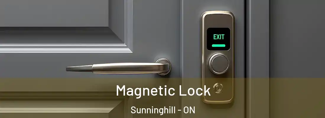  Magnetic Lock Sunninghill - ON