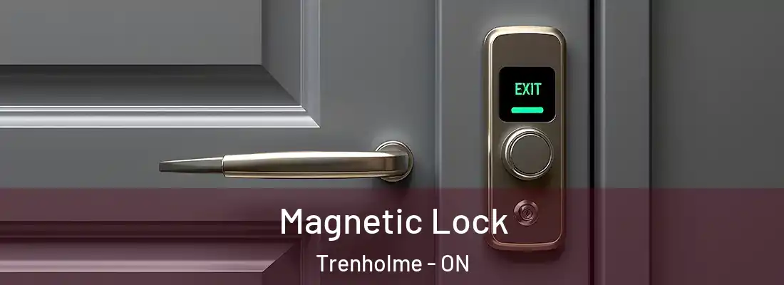 Magnetic Lock Trenholme - ON