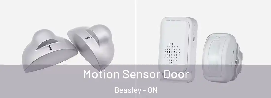  Motion Sensor Door Beasley - ON
