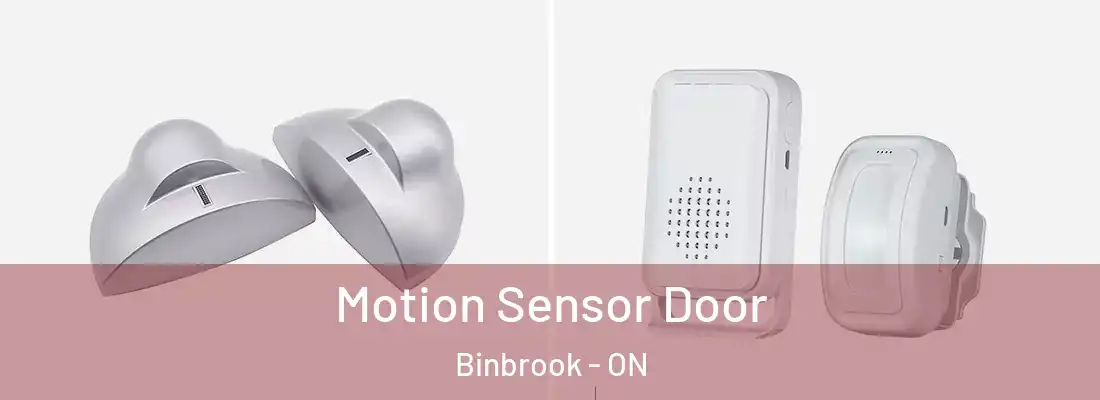  Motion Sensor Door Binbrook - ON
