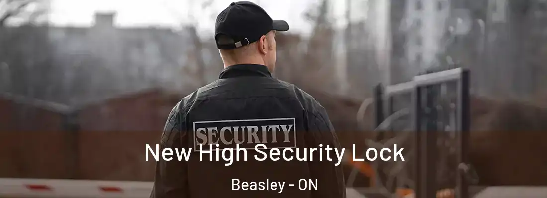  New High Security Lock Beasley - ON