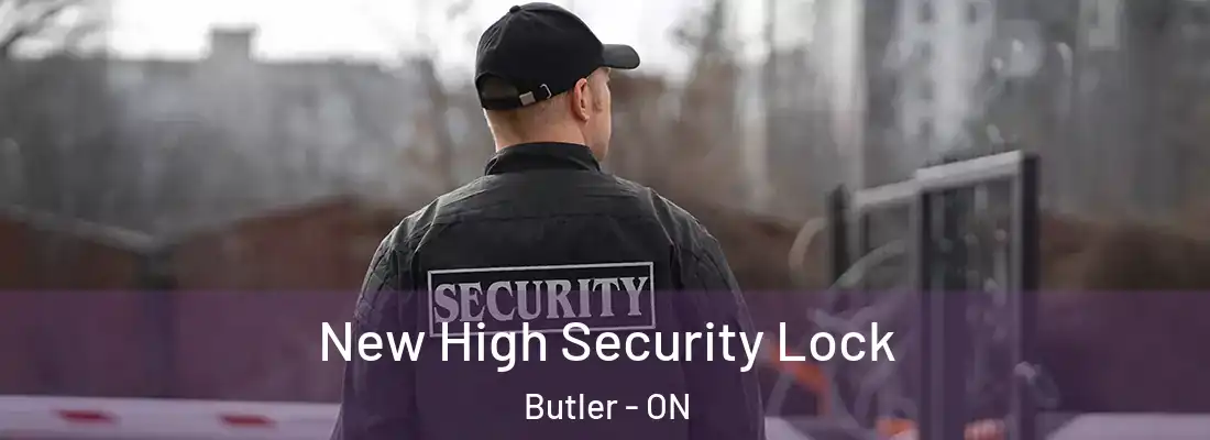  New High Security Lock Butler - ON