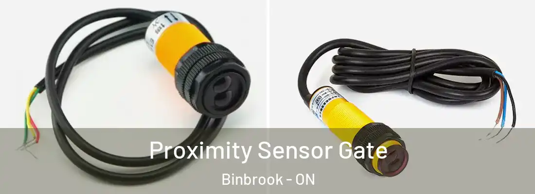  Proximity Sensor Gate Binbrook - ON