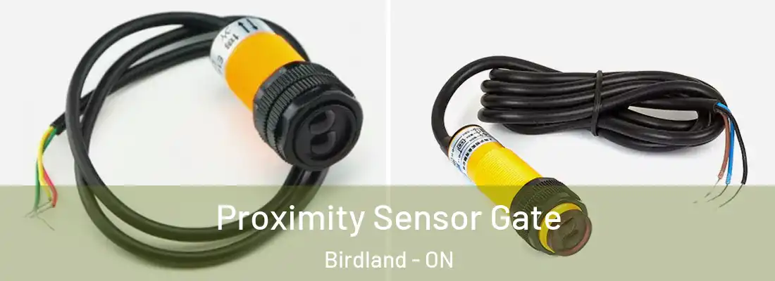  Proximity Sensor Gate Birdland - ON