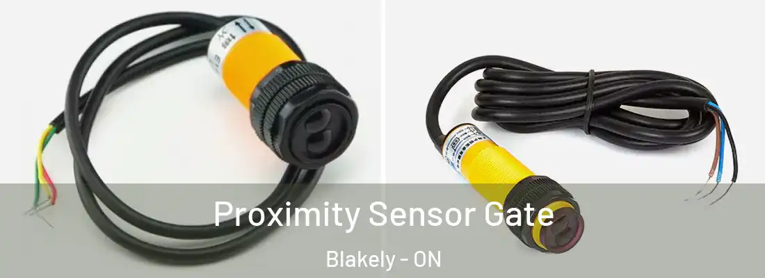  Proximity Sensor Gate Blakely - ON