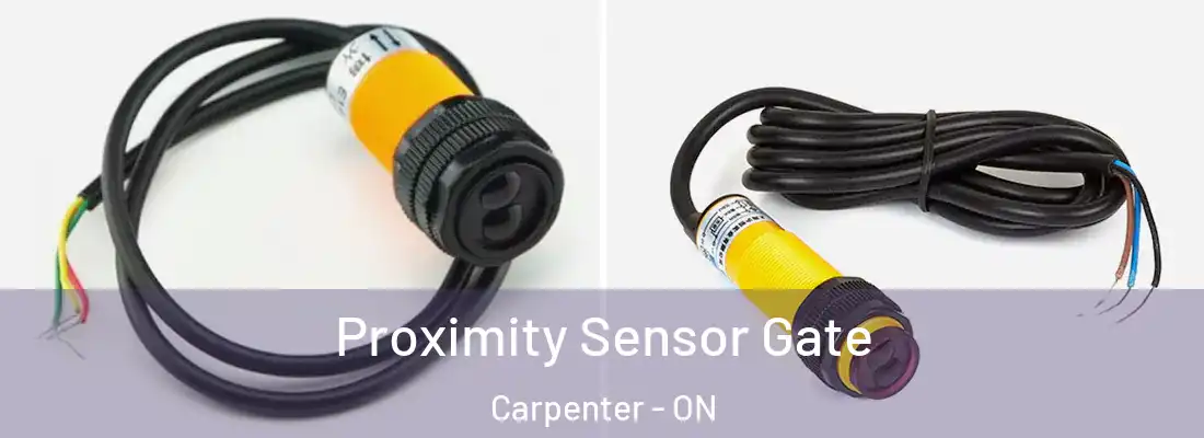  Proximity Sensor Gate Carpenter - ON