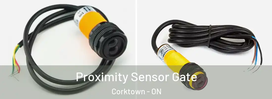  Proximity Sensor Gate Corktown - ON