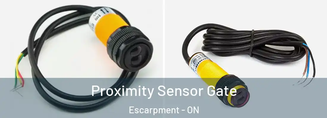  Proximity Sensor Gate Escarpment - ON