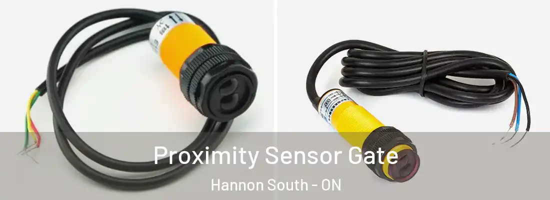  Proximity Sensor Gate Hannon South - ON