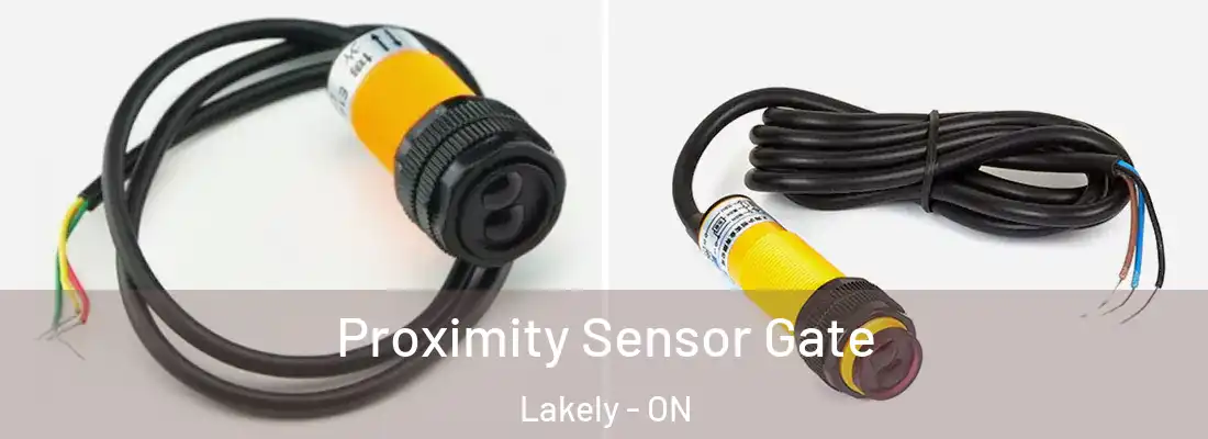  Proximity Sensor Gate Lakely - ON