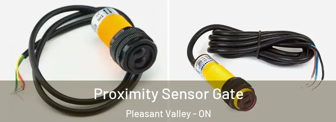  Proximity Sensor Gate Pleasant Valley - ON