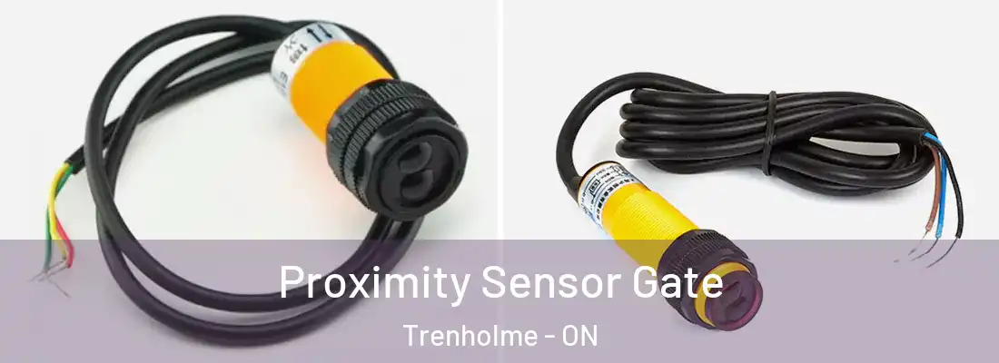  Proximity Sensor Gate Trenholme - ON
