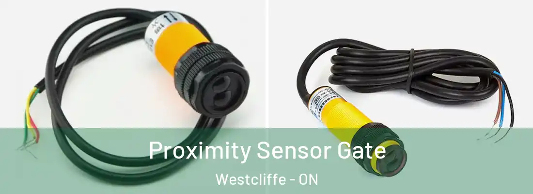  Proximity Sensor Gate Westcliffe - ON