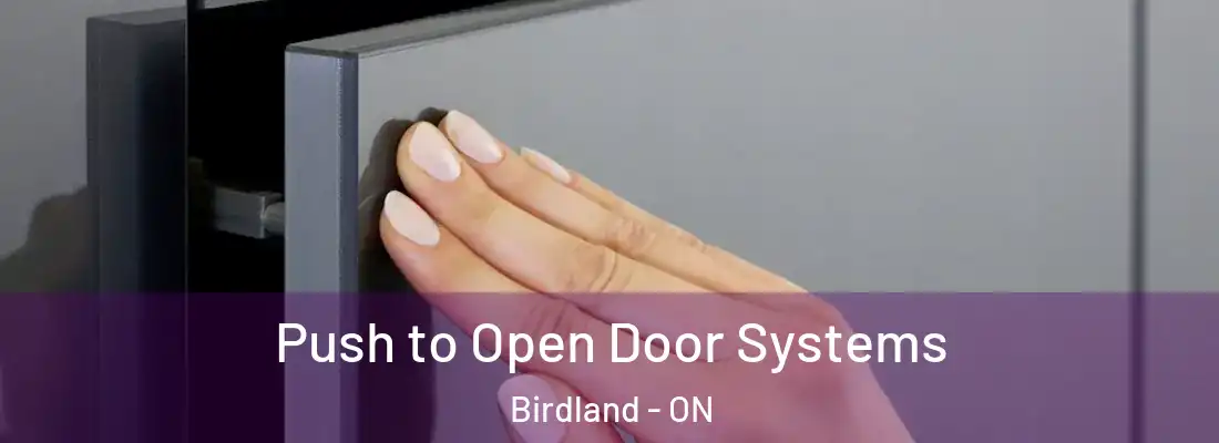  Push to Open Door Systems Birdland - ON