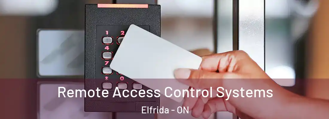  Remote Access Control Systems Elfrida - ON