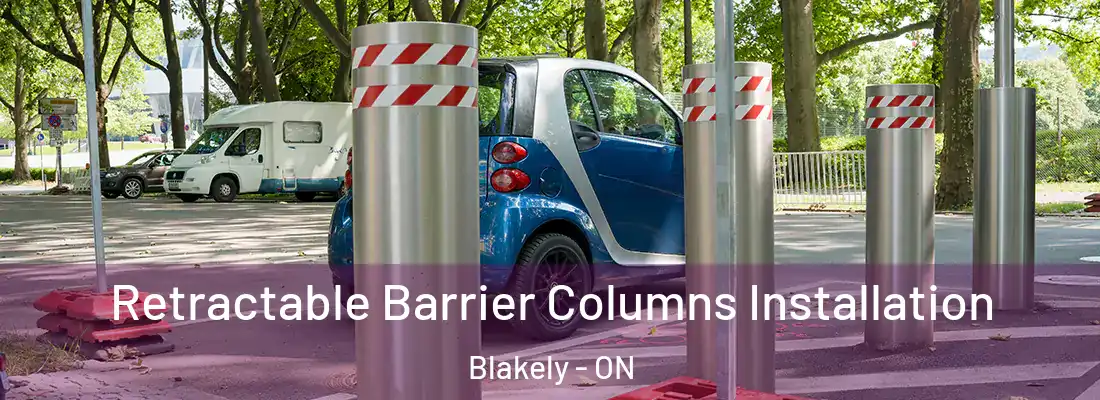  Retractable Barrier Columns Installation Blakely - ON