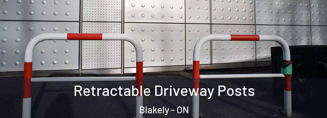  Retractable Driveway Posts Blakely - ON