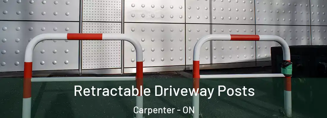  Retractable Driveway Posts Carpenter - ON