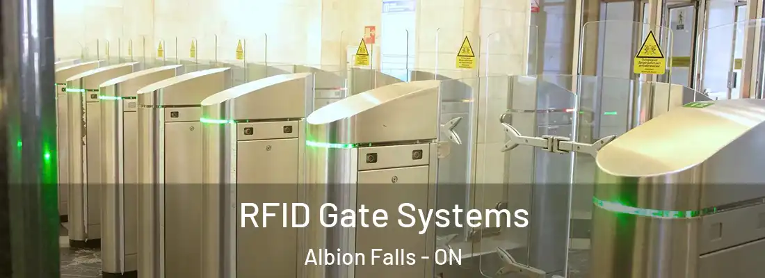 RFID Gate Systems Albion Falls - ON