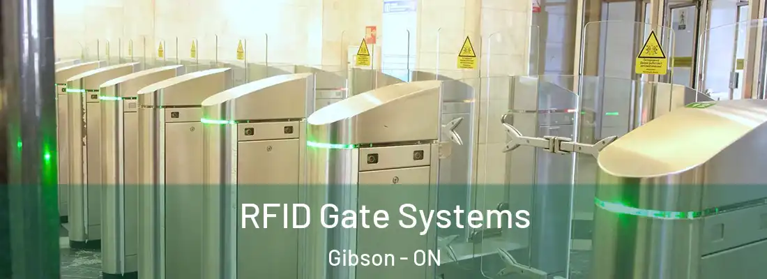  RFID Gate Systems Gibson - ON