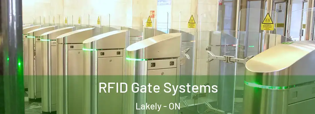  RFID Gate Systems Lakely - ON