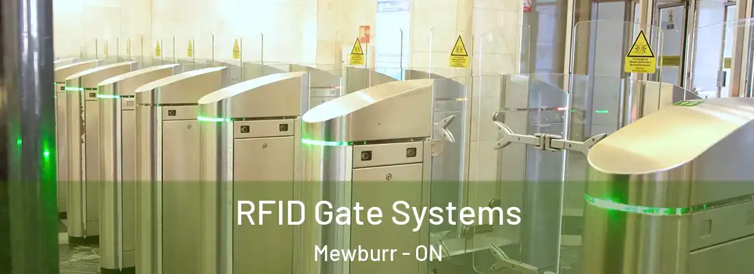  RFID Gate Systems Mewburr - ON