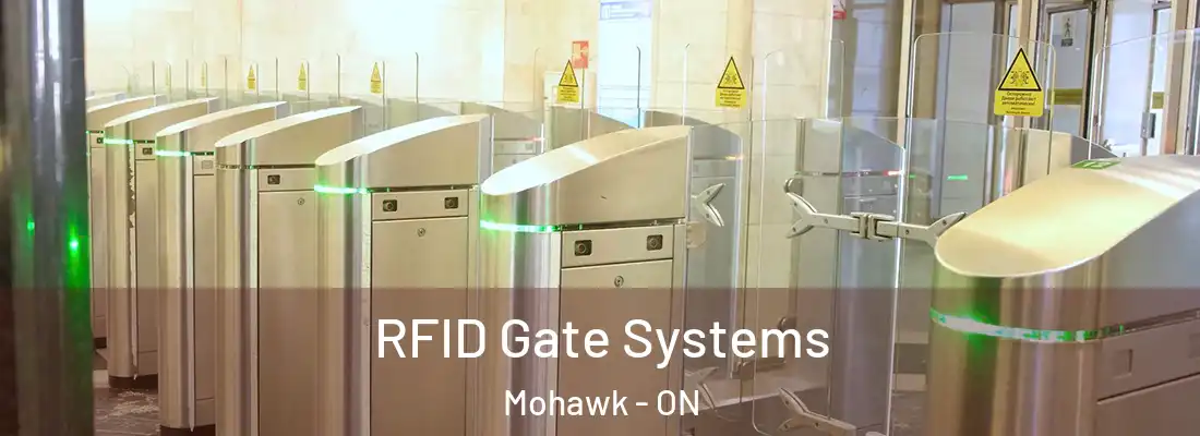  RFID Gate Systems Mohawk - ON