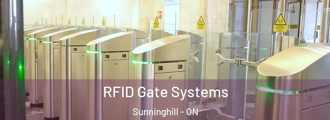  RFID Gate Systems Sunninghill - ON