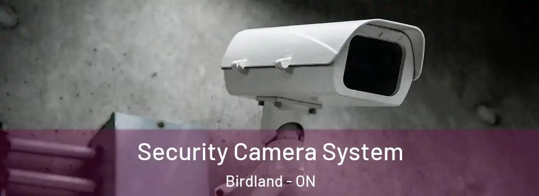  Security Camera System Birdland - ON