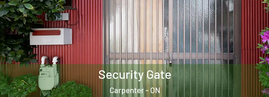  Security Gate Carpenter - ON