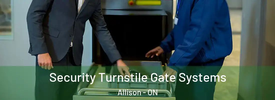  Security Turnstile Gate Systems Allison - ON