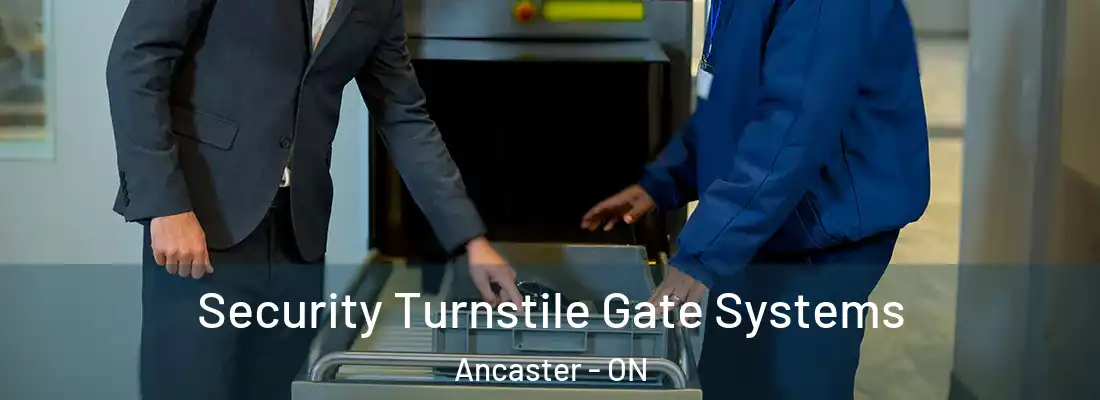  Security Turnstile Gate Systems Ancaster - ON