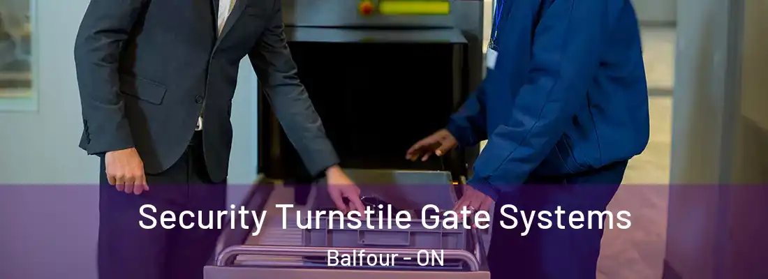  Security Turnstile Gate Systems Balfour - ON