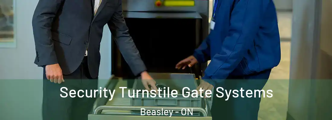  Security Turnstile Gate Systems Beasley - ON