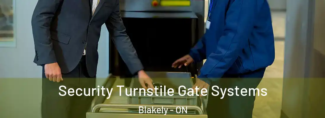  Security Turnstile Gate Systems Blakely - ON