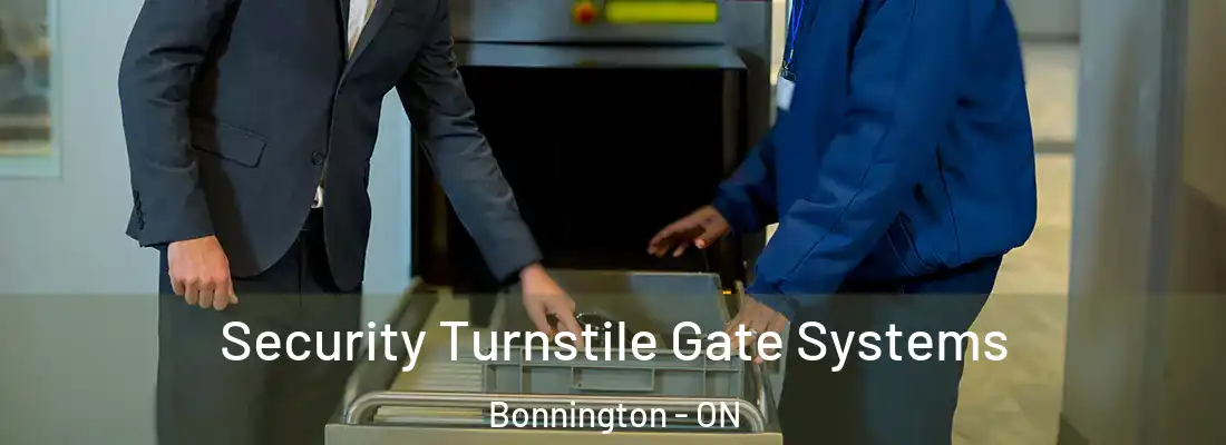  Security Turnstile Gate Systems Bonnington - ON