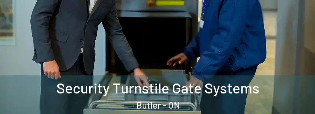  Security Turnstile Gate Systems Butler - ON