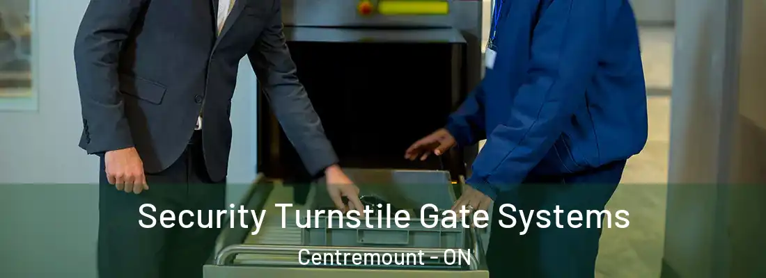  Security Turnstile Gate Systems Centremount - ON