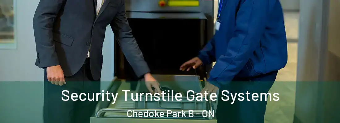  Security Turnstile Gate Systems Chedoke Park B - ON