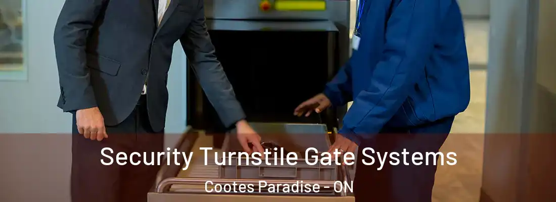  Security Turnstile Gate Systems Cootes Paradise - ON